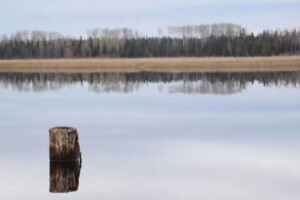 Photo Caption